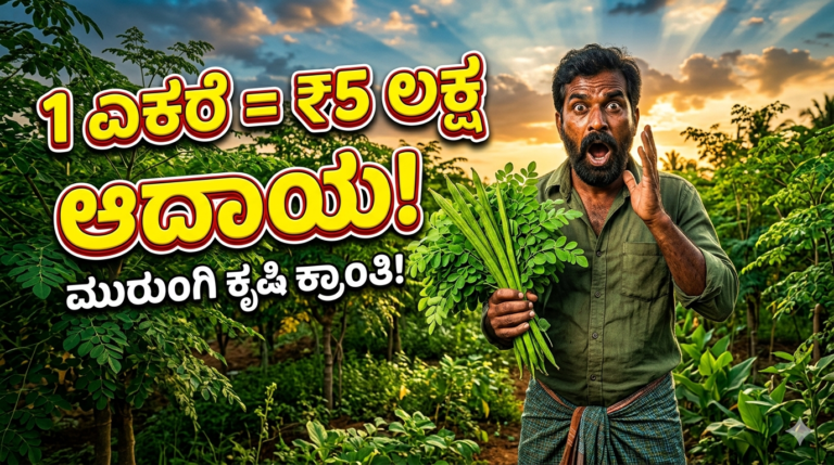 ನುಗ್ಗೆ ಬೆಳೆ ಮೂಲಕ 1 ಎಕರೆ ಜಮೀನಿನಿಂದ ಲಕ್ಷಾಂತರ ಆದಾಯ ಪಡೆಯುವ ಕೃಷಿ ಲಾಭದ ದೃಶ್ಯ, ರೈತ ಮತ್ತು ಹಸಿರು ನುಗ್ಗೆ ಹೊಲ