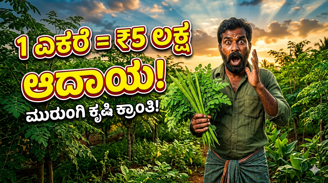 ನುಗ್ಗೆ ಬೆಳೆ ಮೂಲಕ 1 ಎಕರೆ ಜಮೀನಿನಿಂದ ಲಕ್ಷಾಂತರ ಆದಾಯ ಪಡೆಯುವ ಕೃಷಿ ಲಾಭದ ದೃಶ್ಯ, ರೈತ ಮತ್ತು ಹಸಿರು ನುಗ್ಗೆ ಹೊಲ